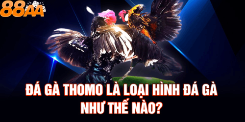 Đá gà Thomo C3 là gì?